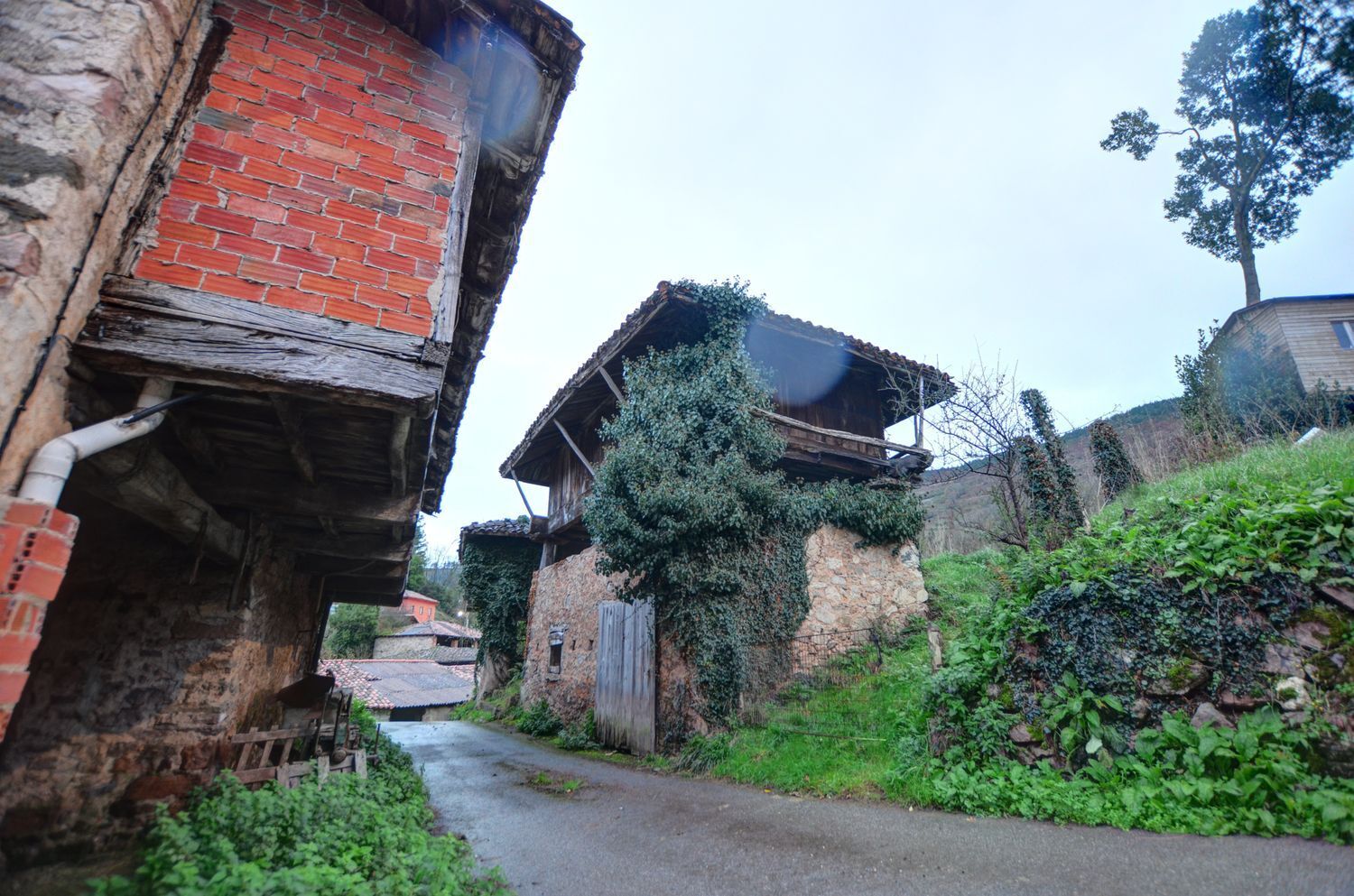 Casas o chalets-Venta-Tineo-2031345-Foto-7