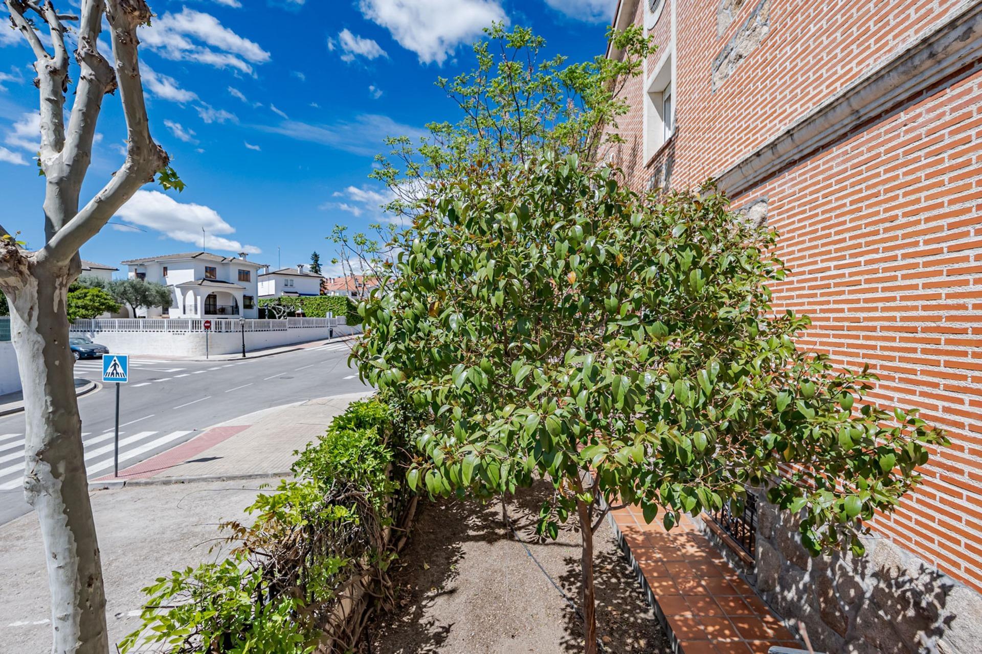 Casas o chalets-Venta-Sevilla la Nueva-2248790-Foto-34