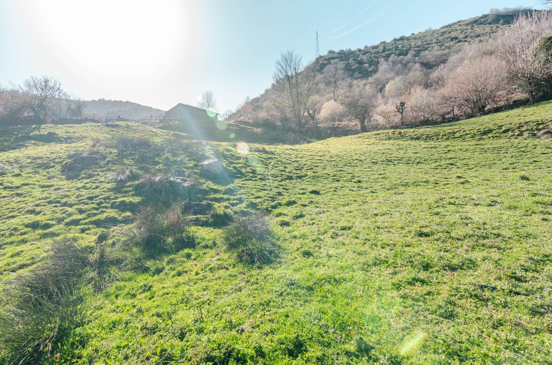 Casas o chalets-Venta-Teverga-2114543-Foto-12