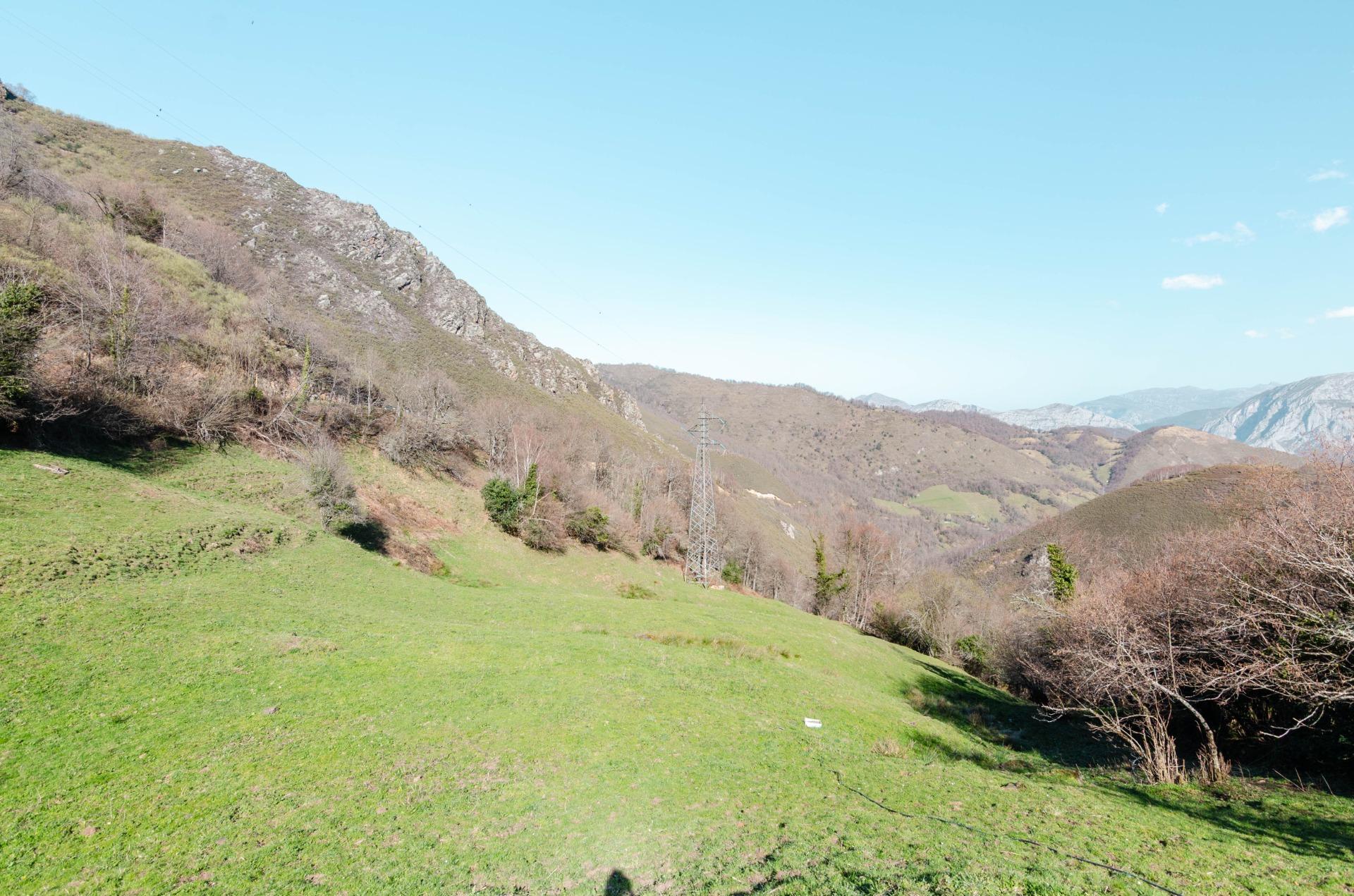 Casas o chalets-Venta-Teverga-2114543-Foto-25