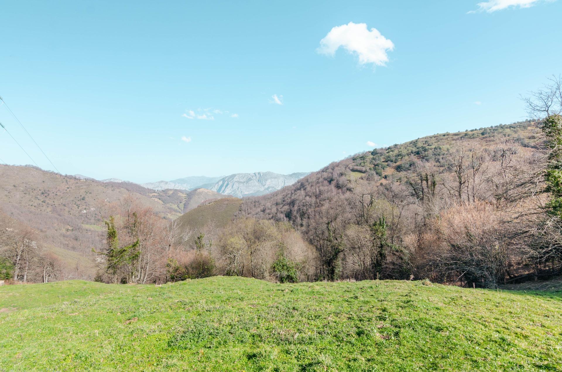 Casas o chalets-Venta-Teverga-2114543-Foto-27