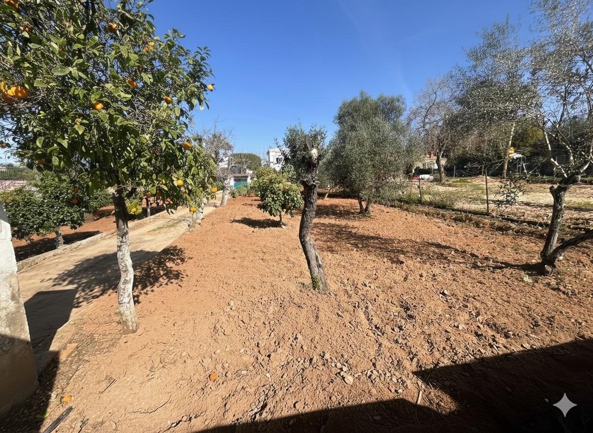 Parcelle in Dos Hermanas