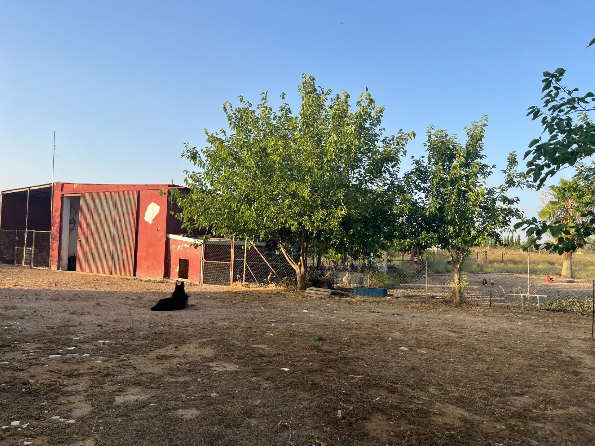 Villa in Carmona