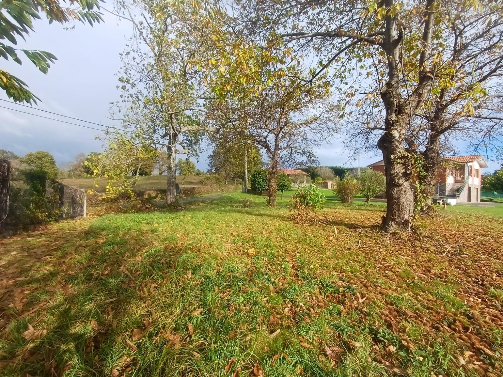 Fincas y solares-Venta-Villaviciosa-2019521-Foto-3