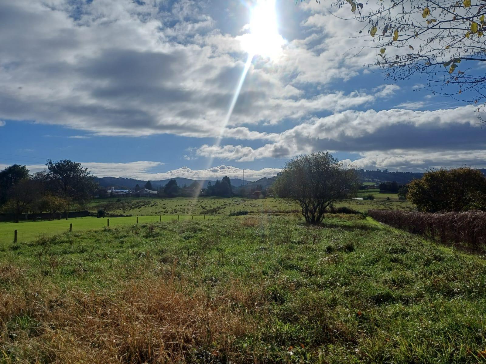 Fincas y solares-Venta-Villaviciosa-2019521