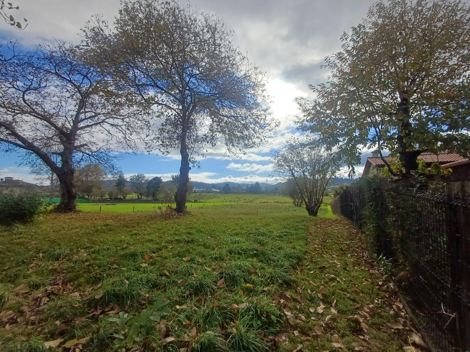 Fincas y solares-Venta-Villaviciosa-2019521-Foto-4