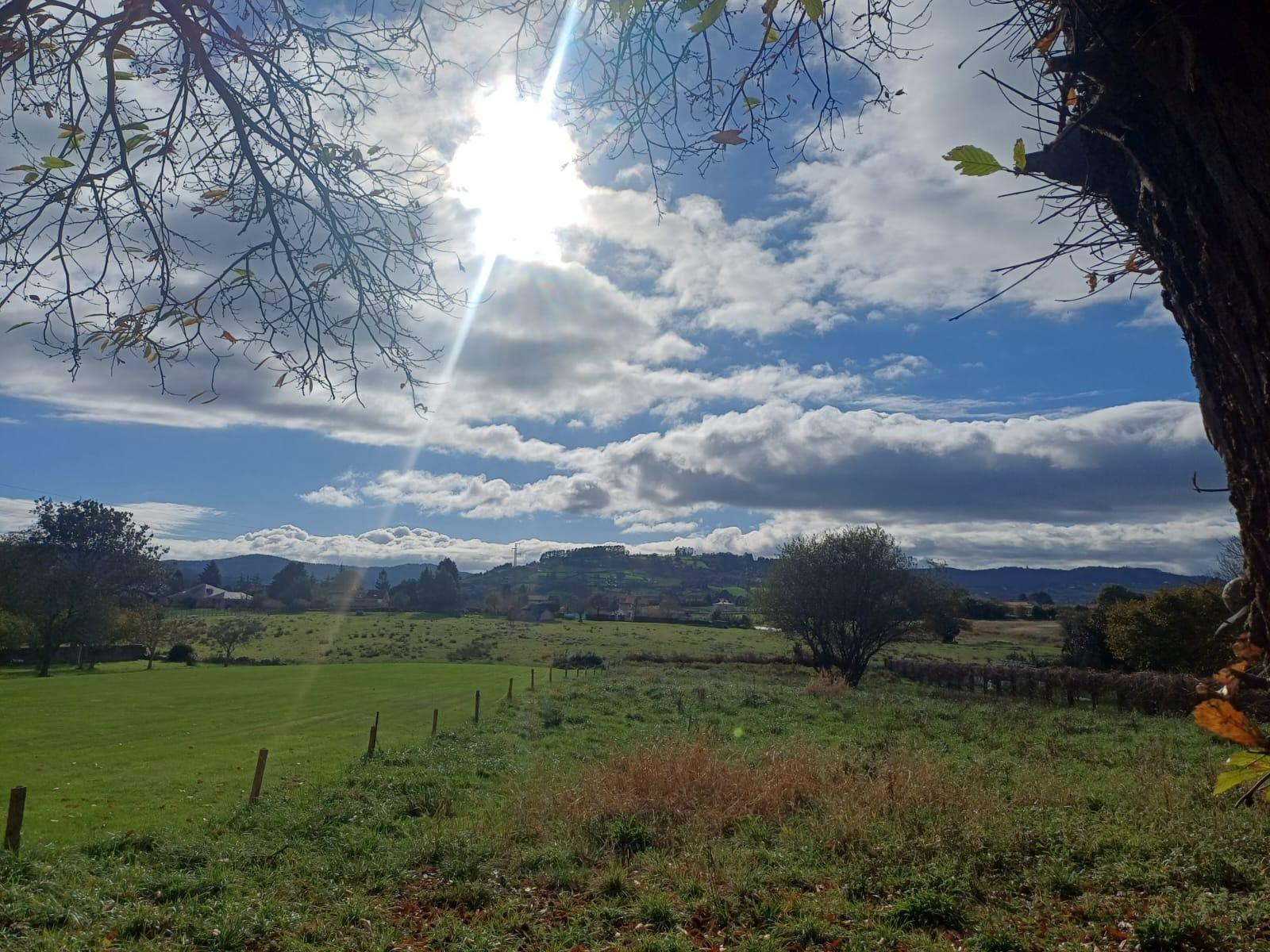 Fincas y solares-Venta-Villaviciosa-2019521-Foto-2