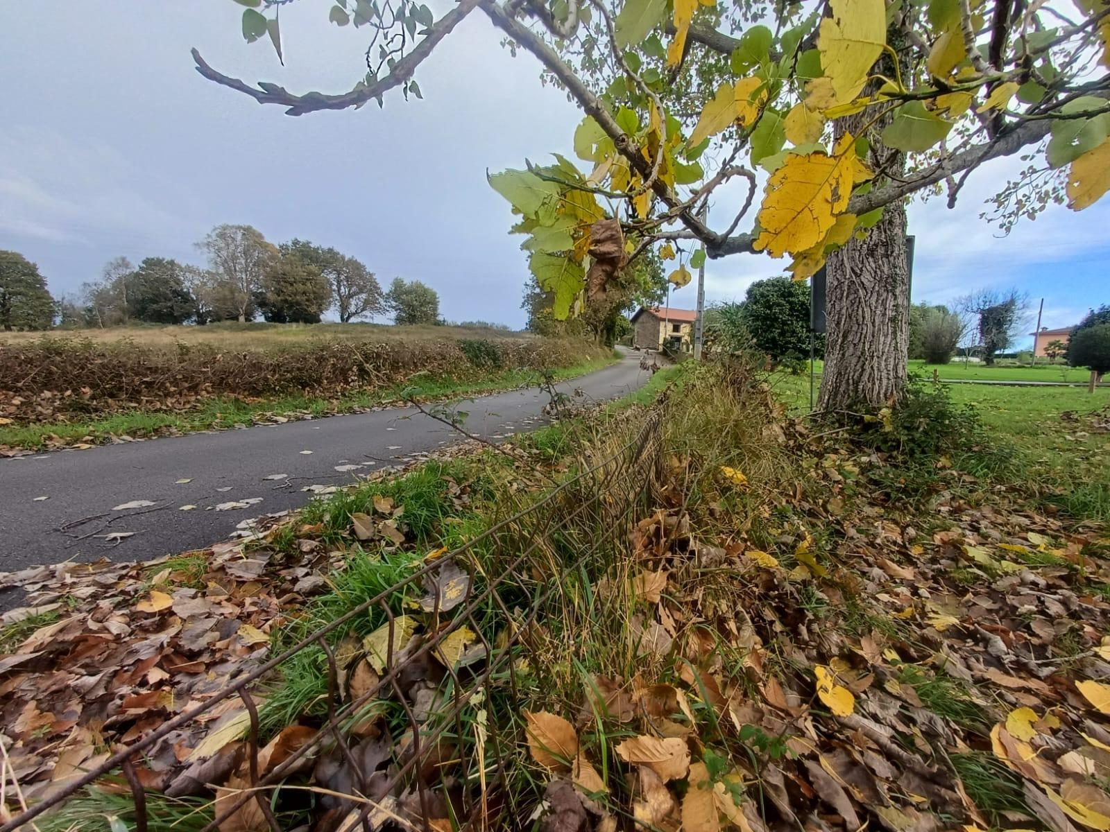 Fincas y solares-Venta-Villaviciosa-2019521-Foto-10