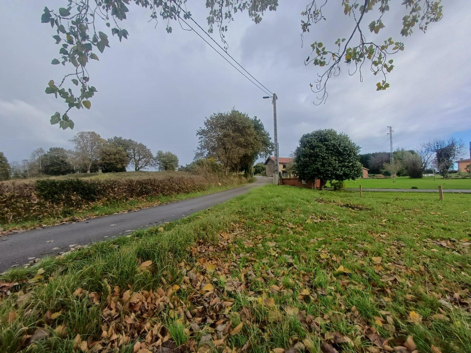 Fincas y solares-Venta-Villaviciosa-2019521-Foto-9