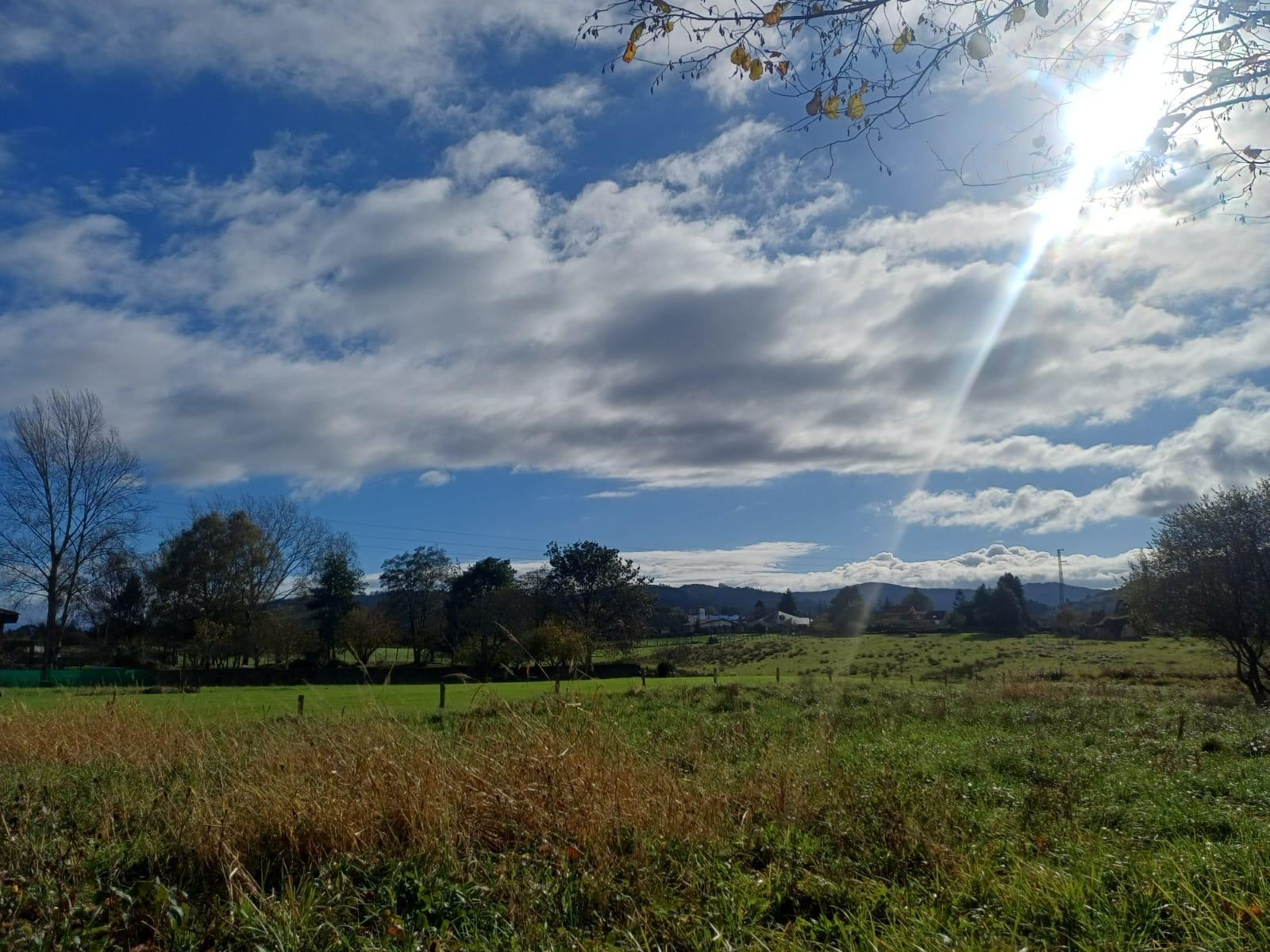 Fincas y solares-Venta-Villaviciosa-2019521-Foto-11