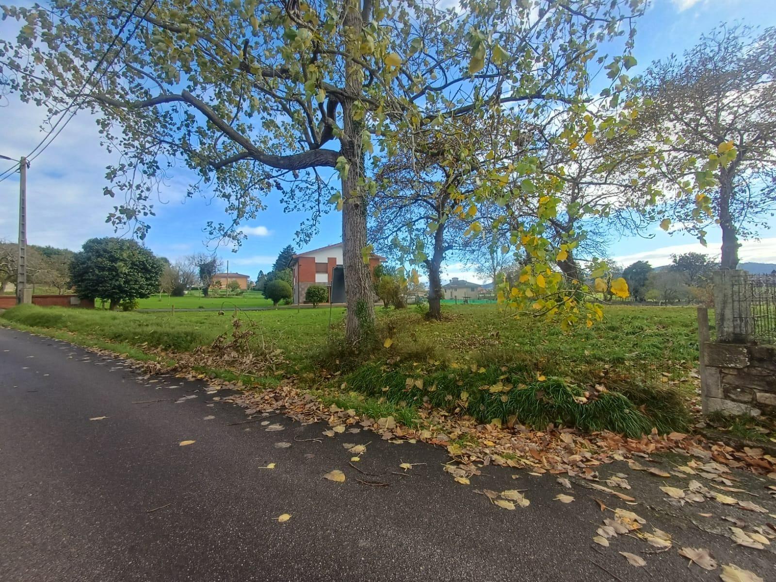 Fincas y solares-Venta-Villaviciosa-2019521-Foto-17