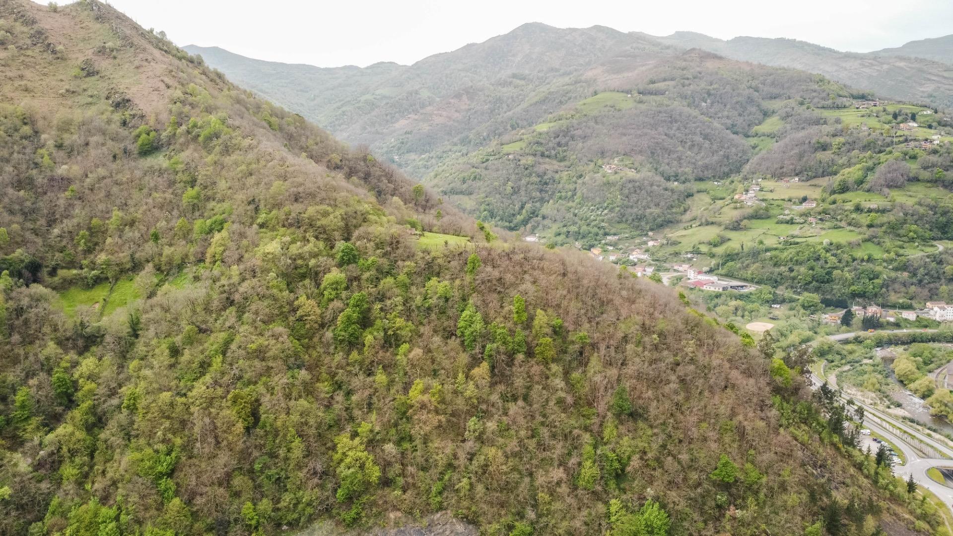 Casas o chalets-Venta-Aller-2248823-Foto-39