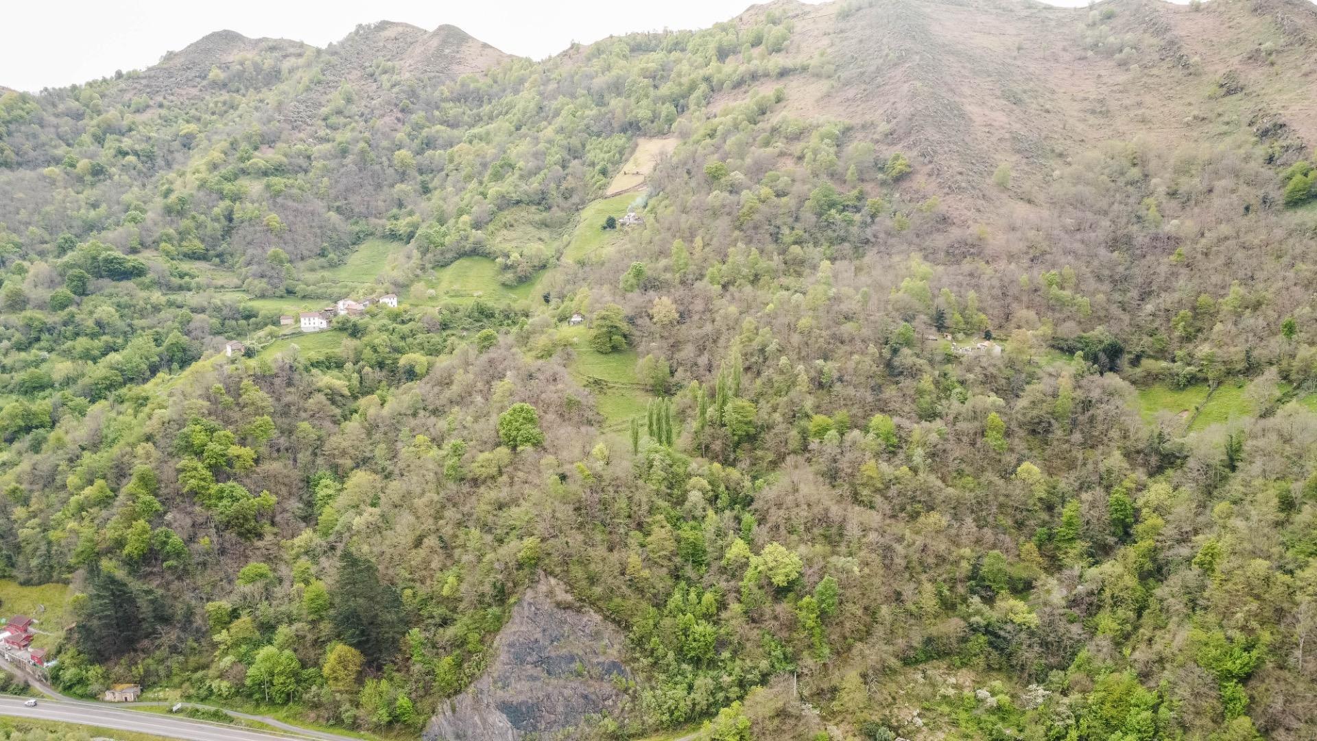 Casas o chalets-Venta-Aller-2248823-Foto-43