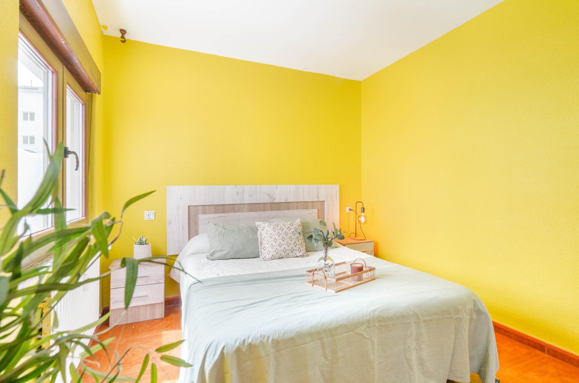 Pisos-Venta-Oviedo-2248841-Foto-10