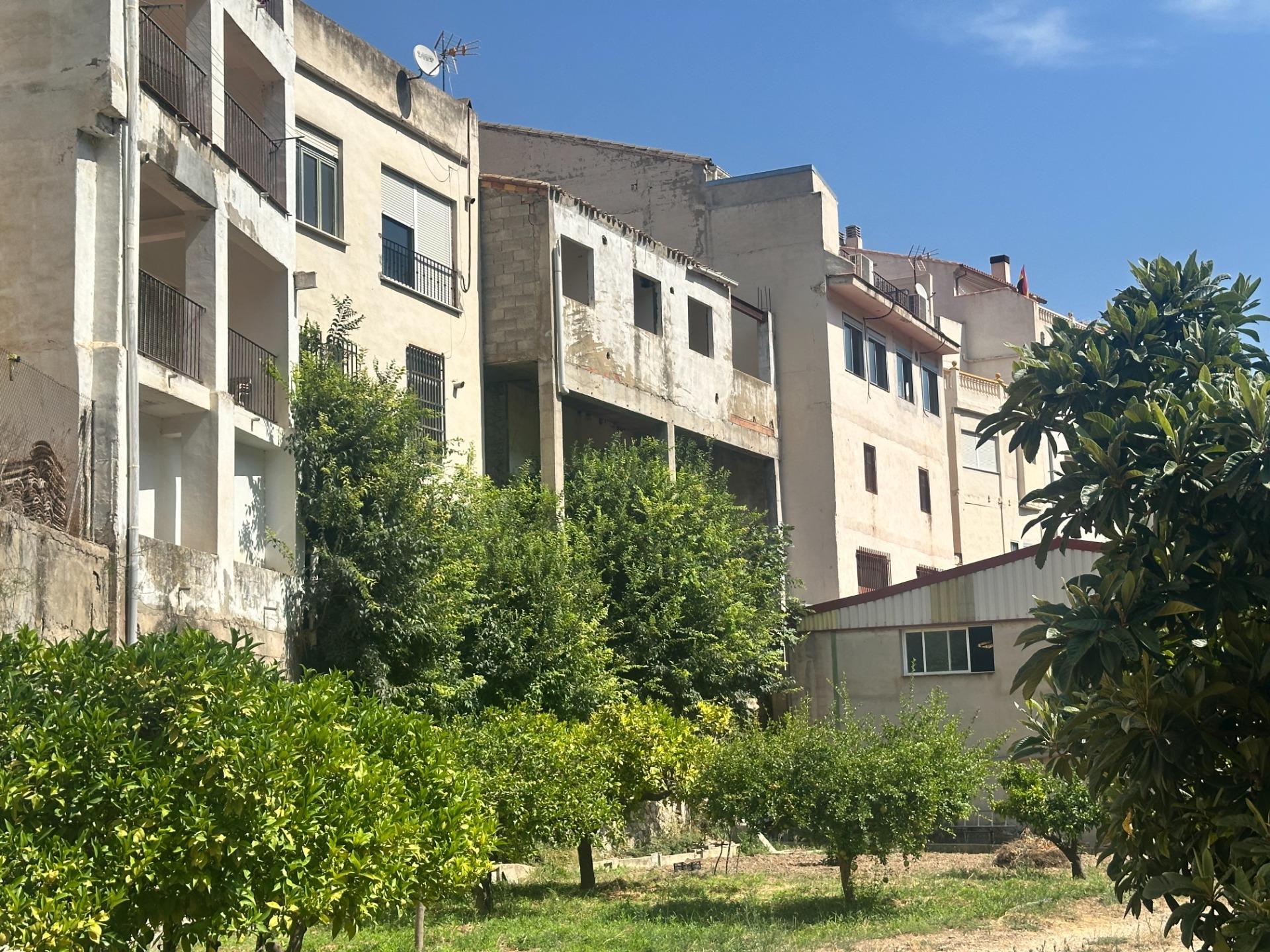 Plot in Cortes de Pallas