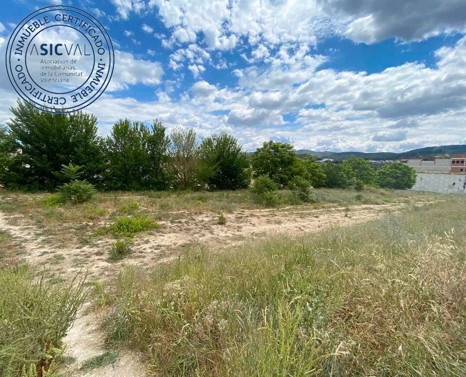 Fincas y solares-Venta-Albaida-1385715-Foto-9