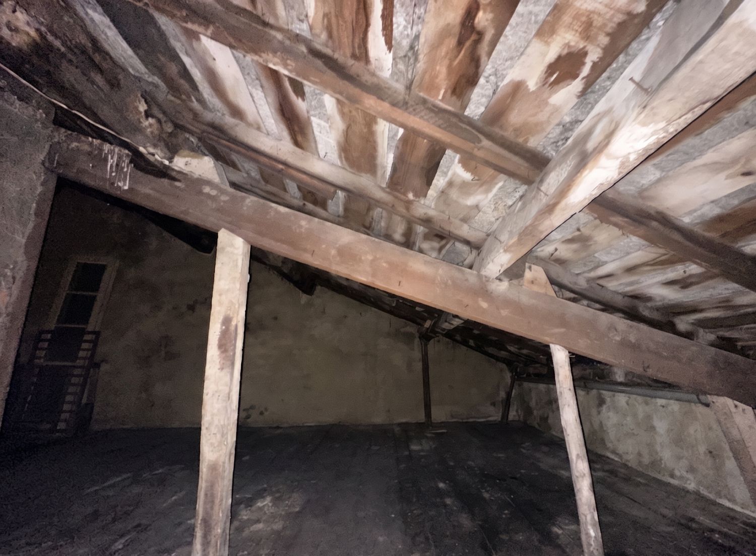 Casas o chalets-Venta-NoreÃ±a-2249194-Foto-37