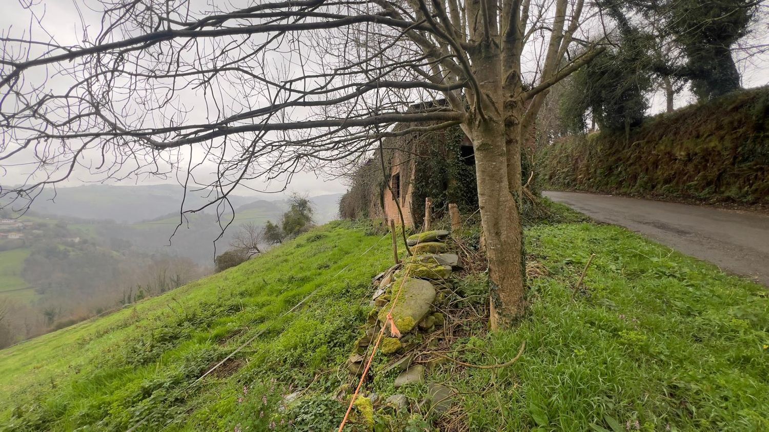 Villa in Tineo