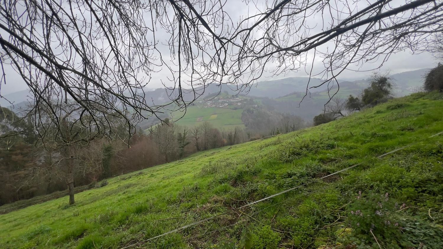 Villa in Tineo