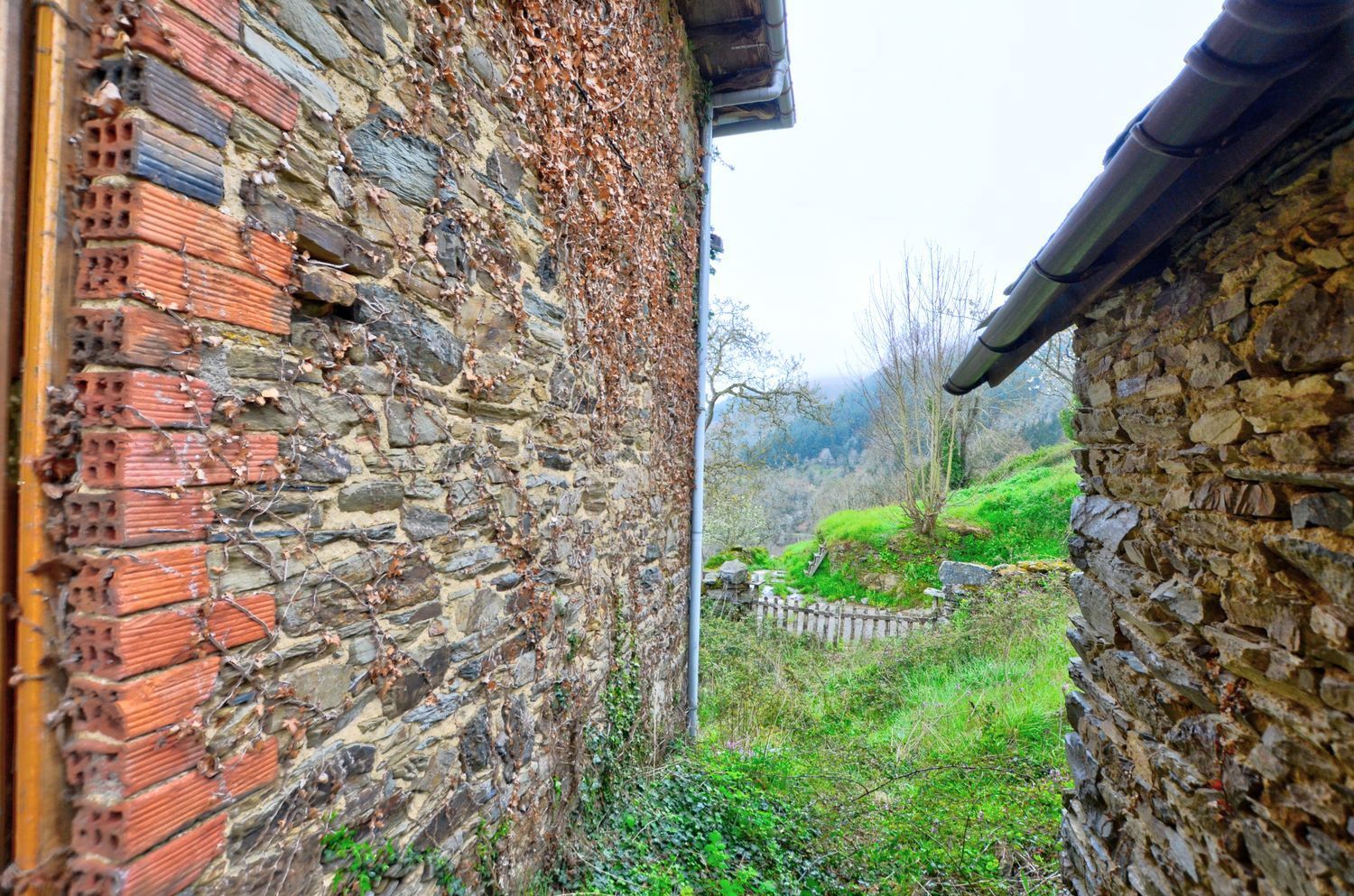 Villa in Cangas de Narcea