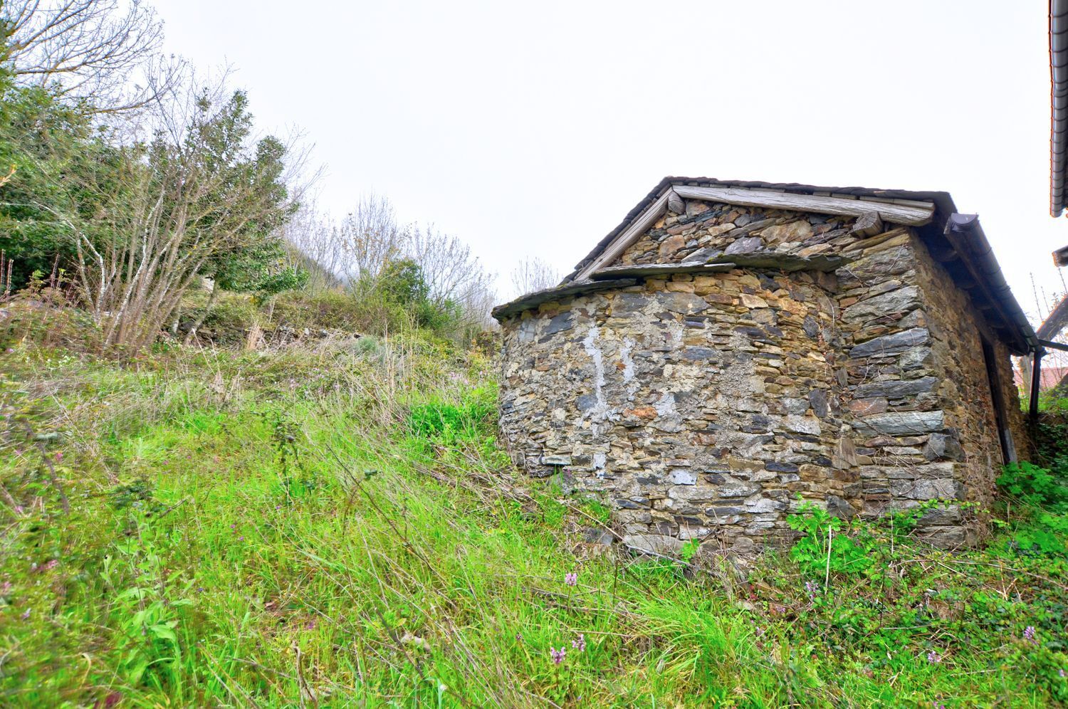 Villa in Cangas de Narcea