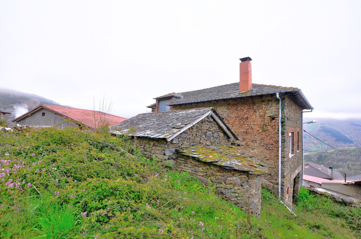 Villa in Cangas de Narcea