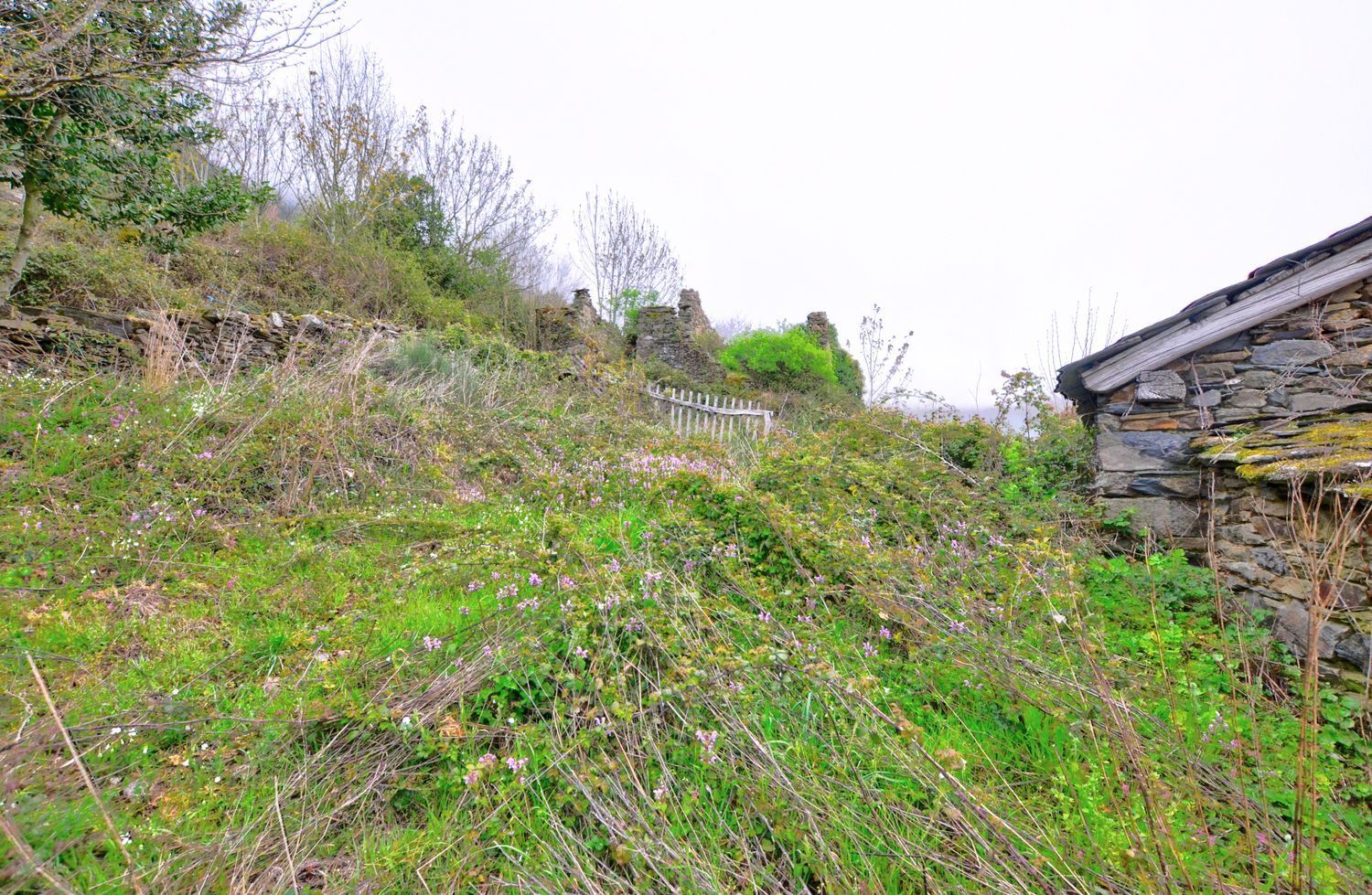 Villa in Cangas de Narcea