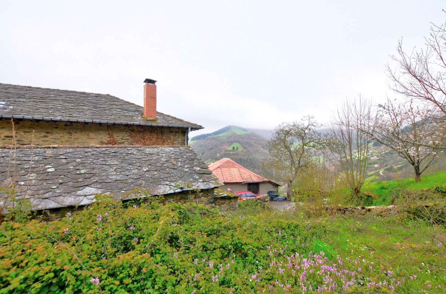 Villa in Cangas de Narcea