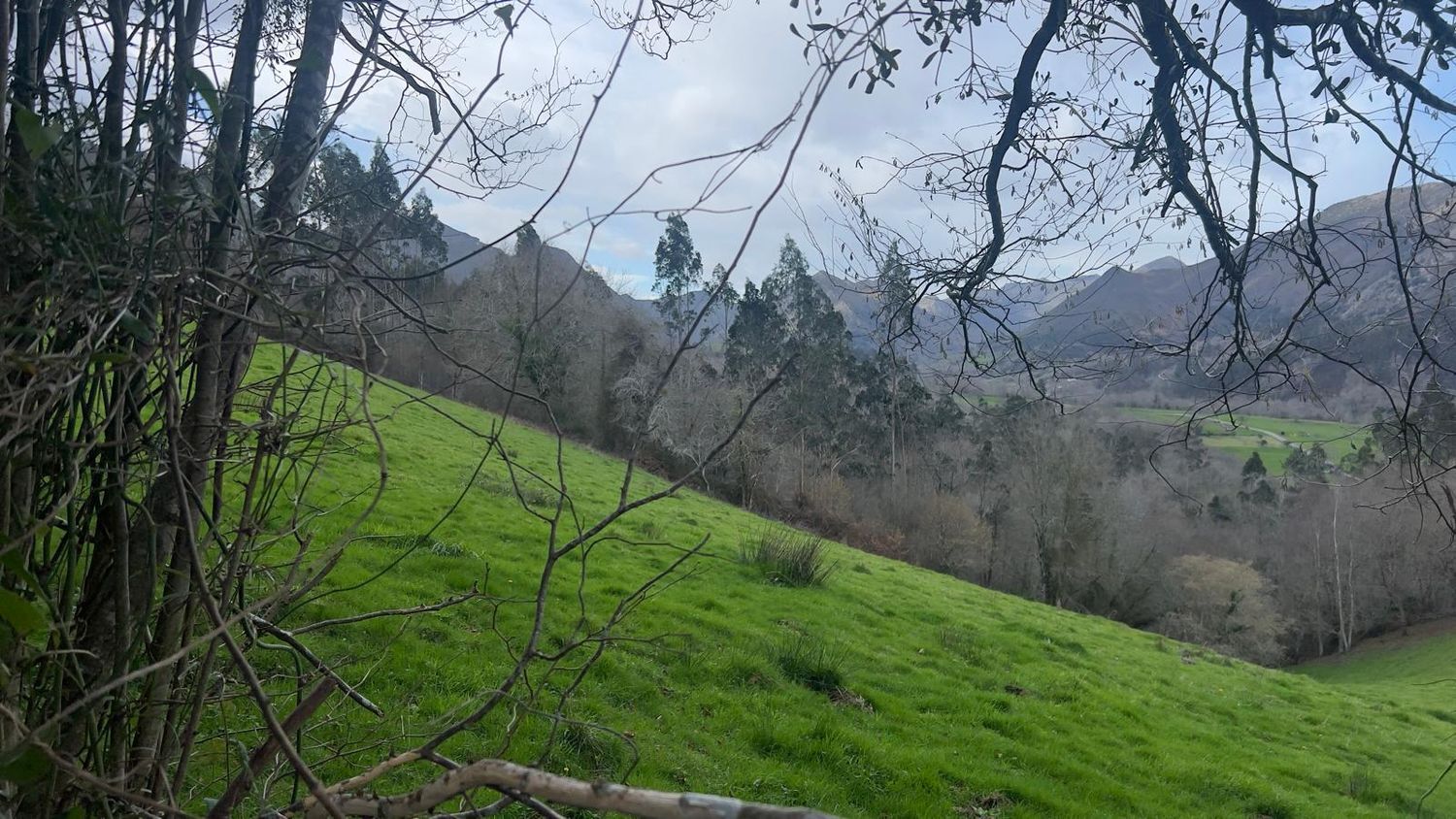 Fincas y solares-Venta-Les Avellanes i Santa Linya-2044320