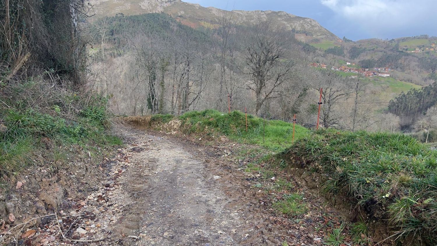 Fincas y solares-Venta-Les Avellanes i Santa Linya-2044320-Foto-4