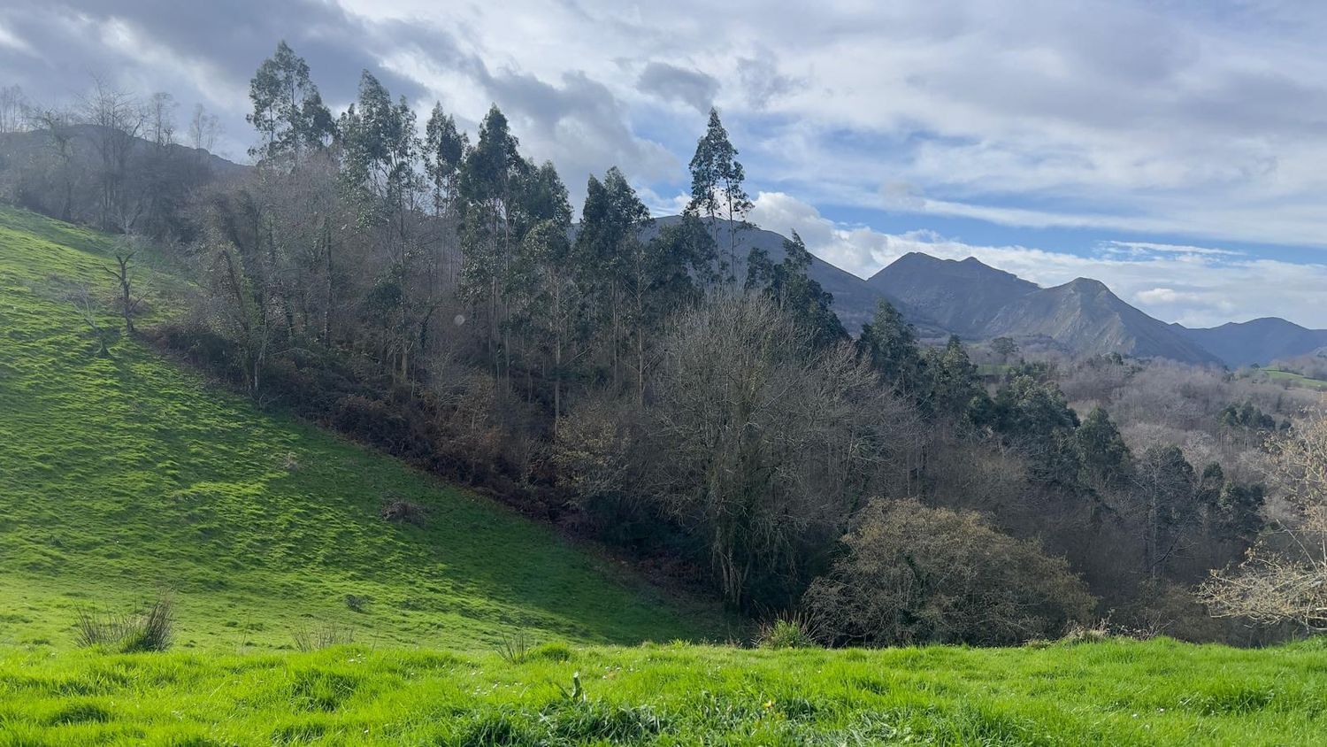 Fincas y solares-Venta-Les Avellanes i Santa Linya-2044320-Foto-6