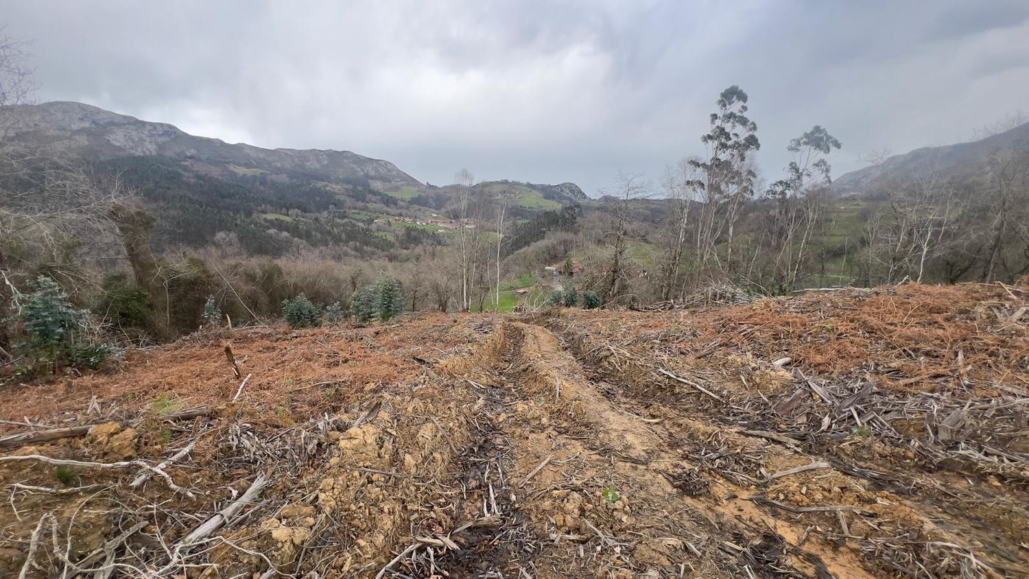 Fincas y solares-Venta-Les Avellanes i Santa Linya-2044320-Foto-10