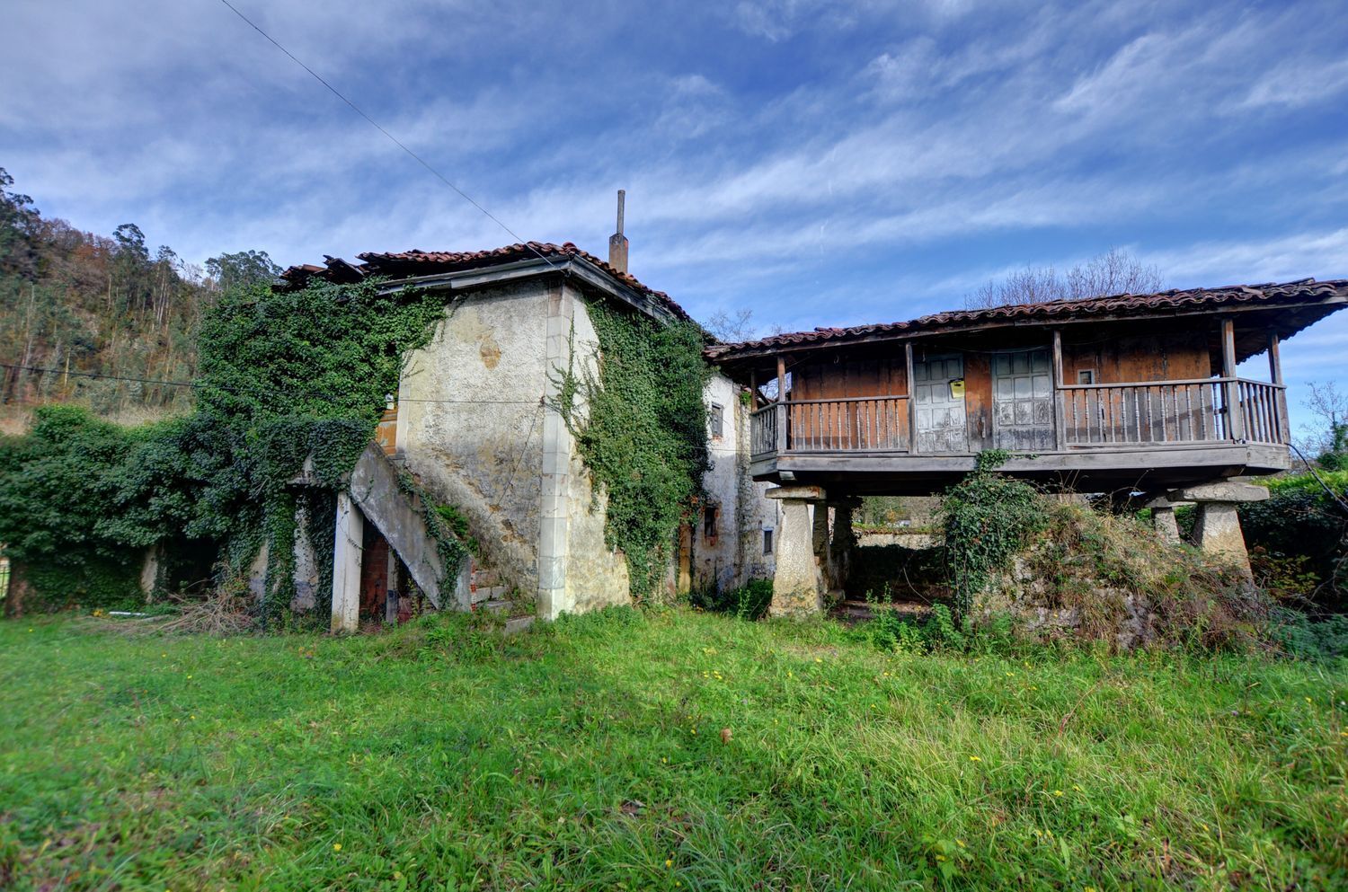 Casas o chalets-Venta-PiloÃ±a-2032742-Foto-7