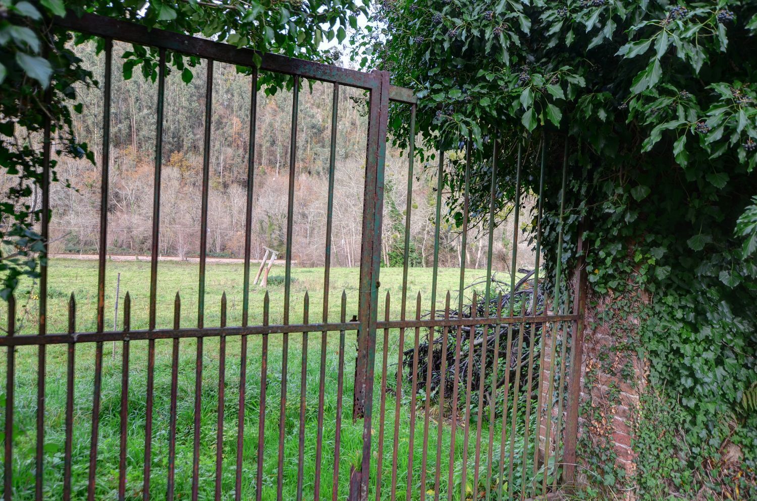 Casas o chalets-Venta-PiloÃ±a-2032742-Foto-14