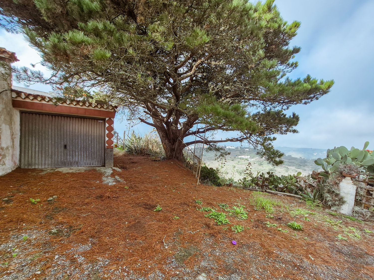 Casas o chalets-Venta-Las Palmas de Gran Canaria-1994022-Foto-75