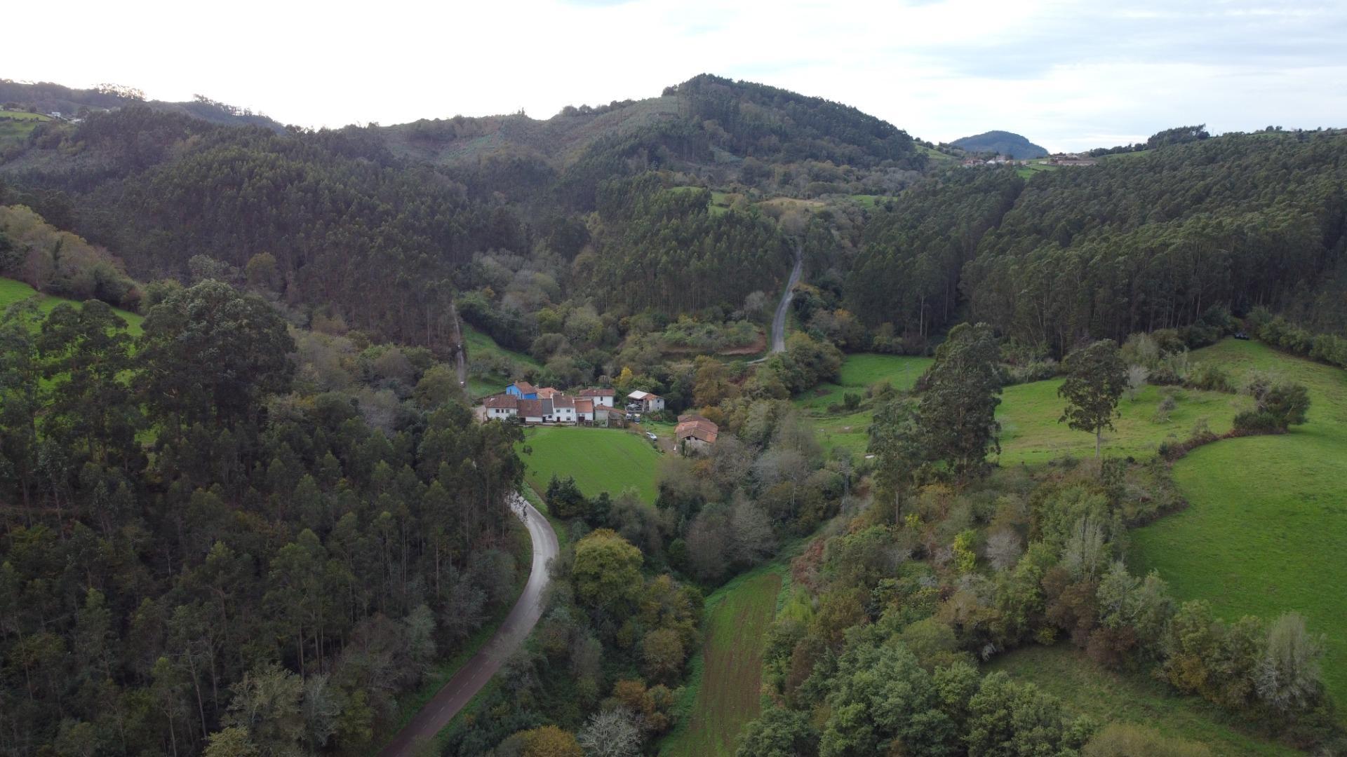 Casas o chalets-Venta-Pernus-1993978-Foto-32