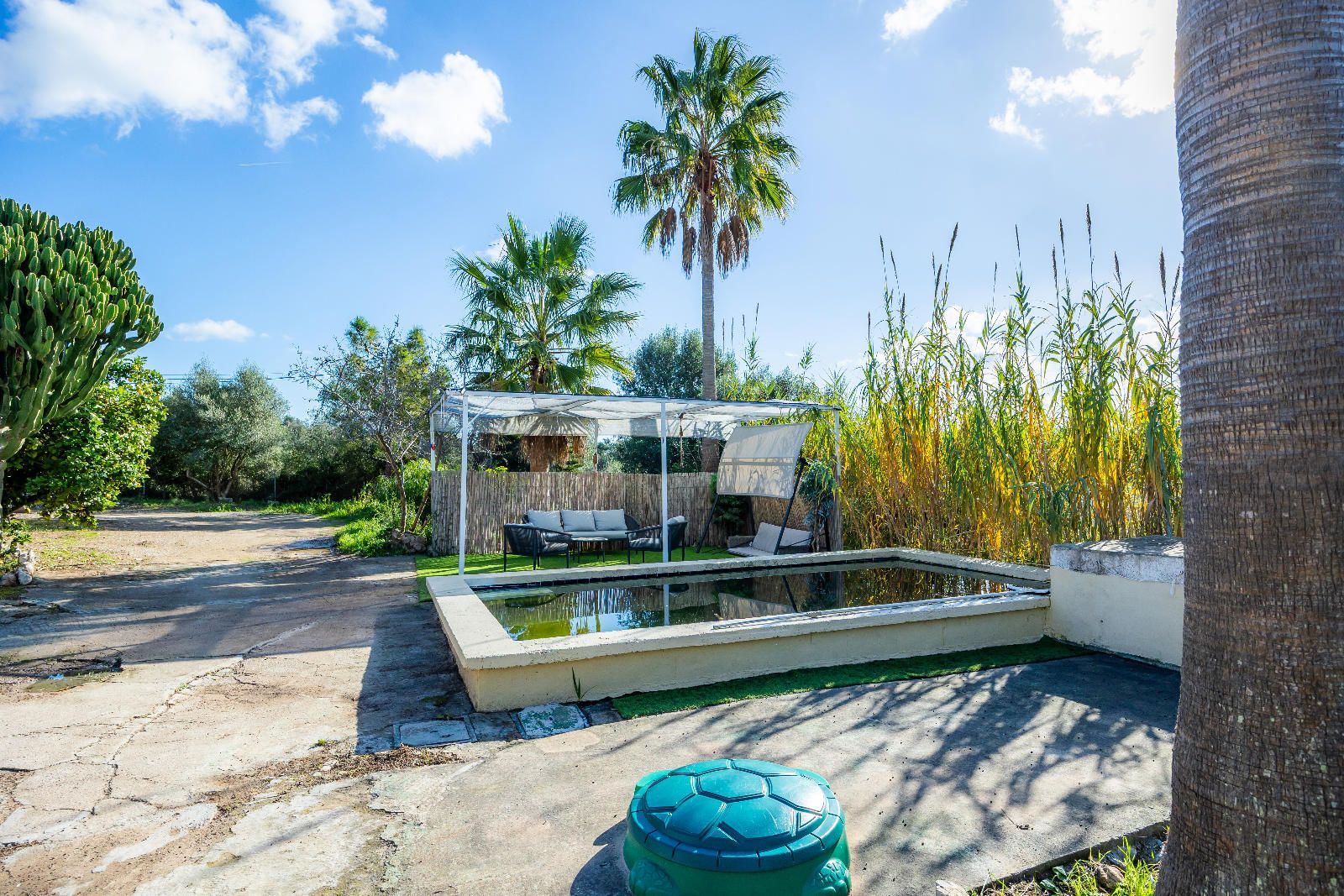 Casas o chalets-Venta-ArtÃ -2249257-Foto-13