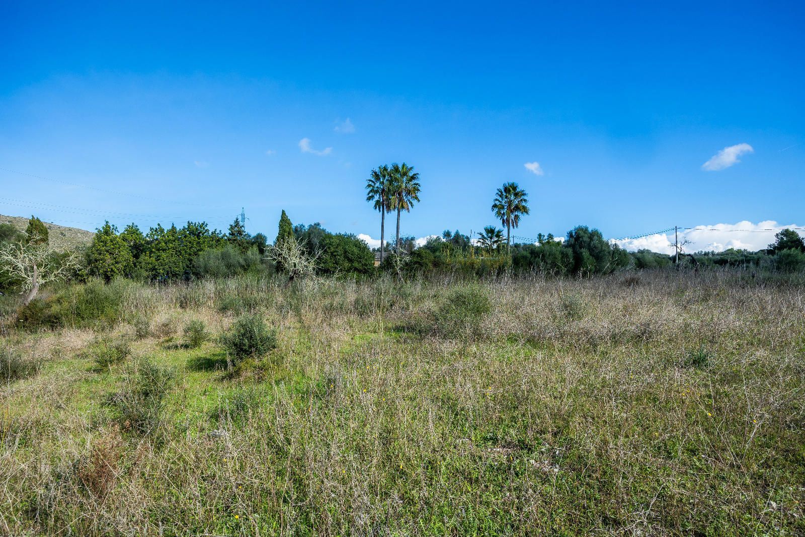 Casas o chalets-Venta-ArtÃ -2249257-Foto-22