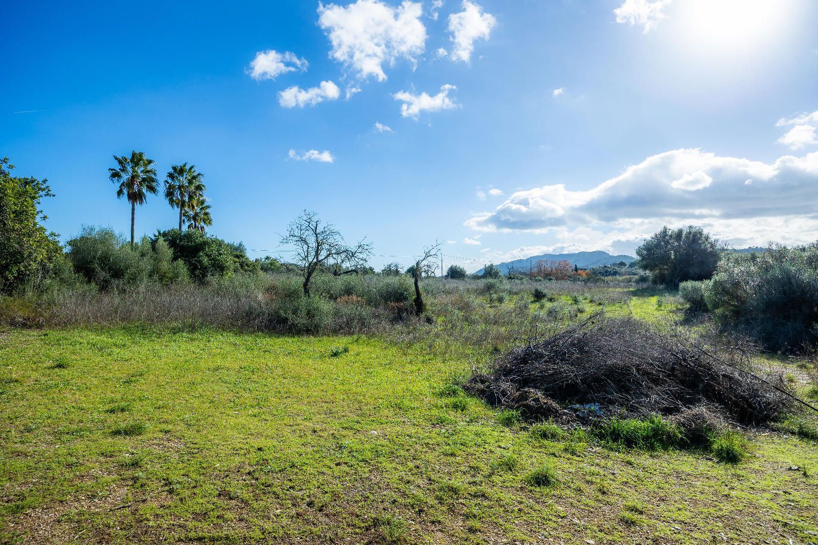 Casas o chalets-Venta-ArtÃ -2249257-Foto-21