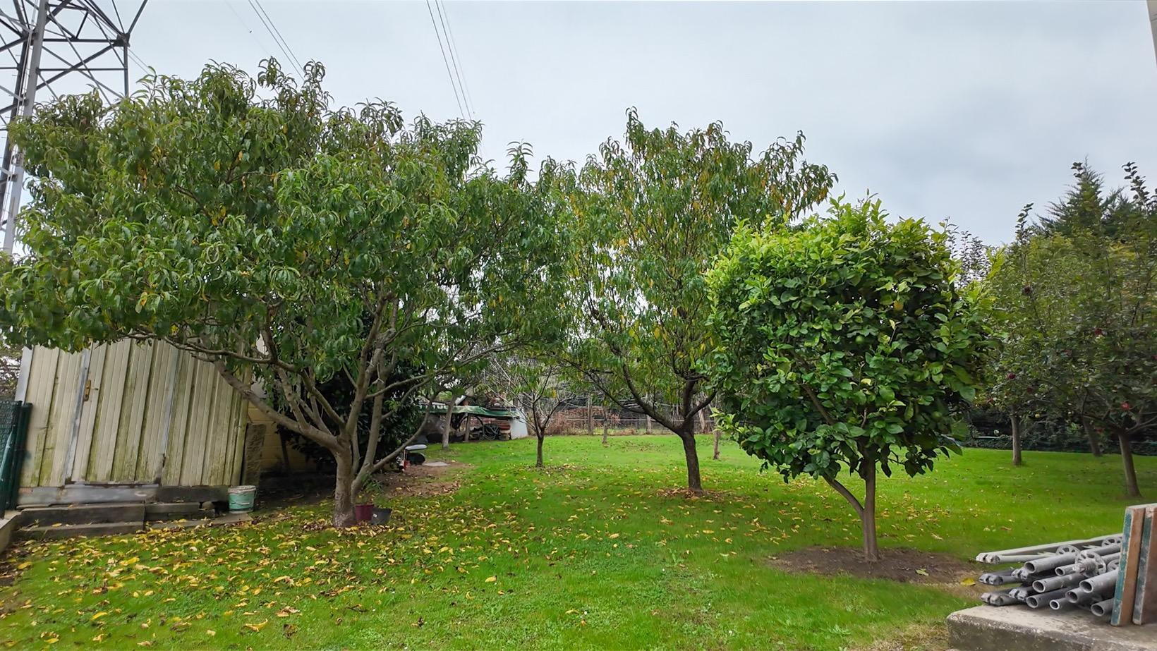 Casas o chalets-Venta-Torrelavega-2249596-Foto-63