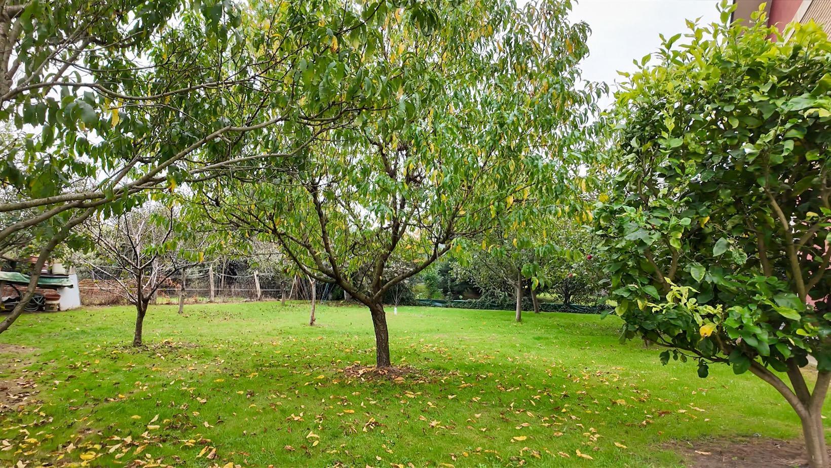 Casas o chalets-Venta-Torrelavega-2249596-Foto-62