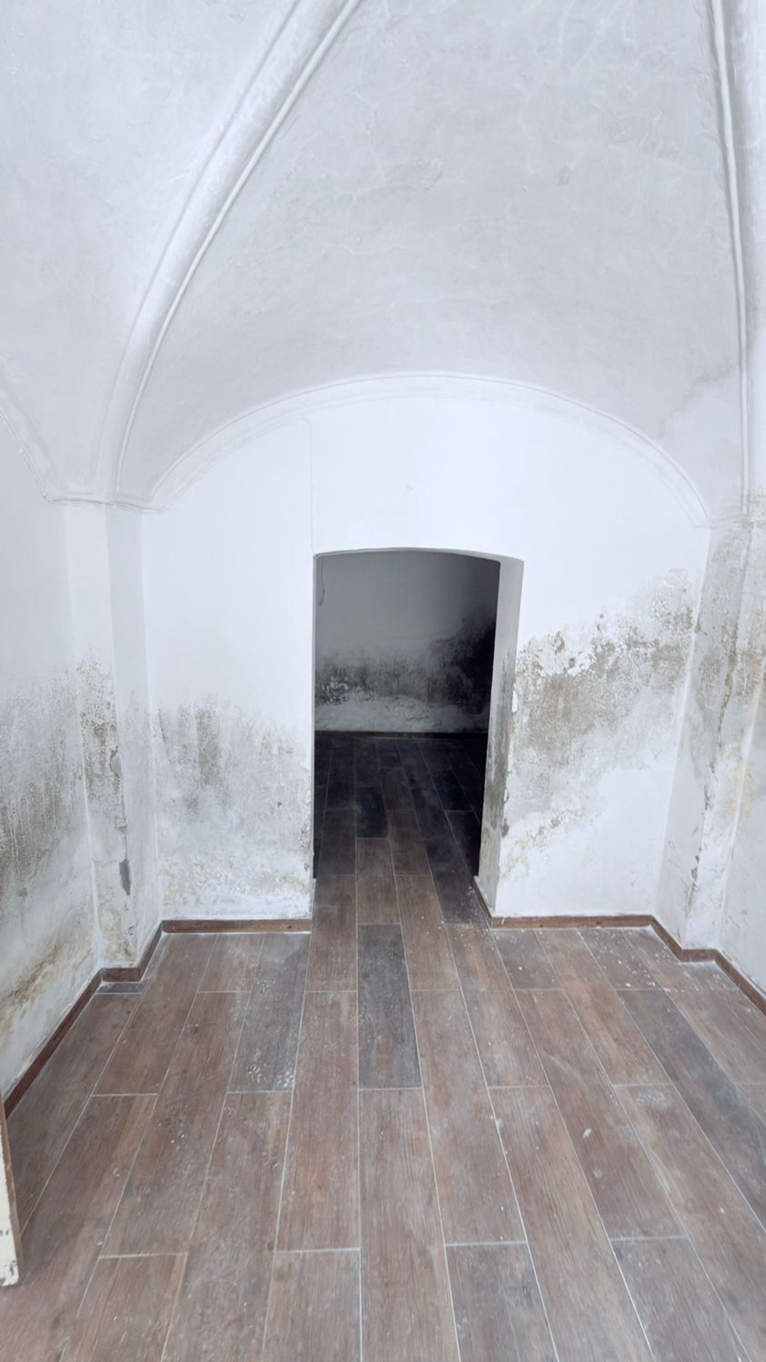 Casas o chalets-Venta-MembrÃ­o-2249602-Foto-18