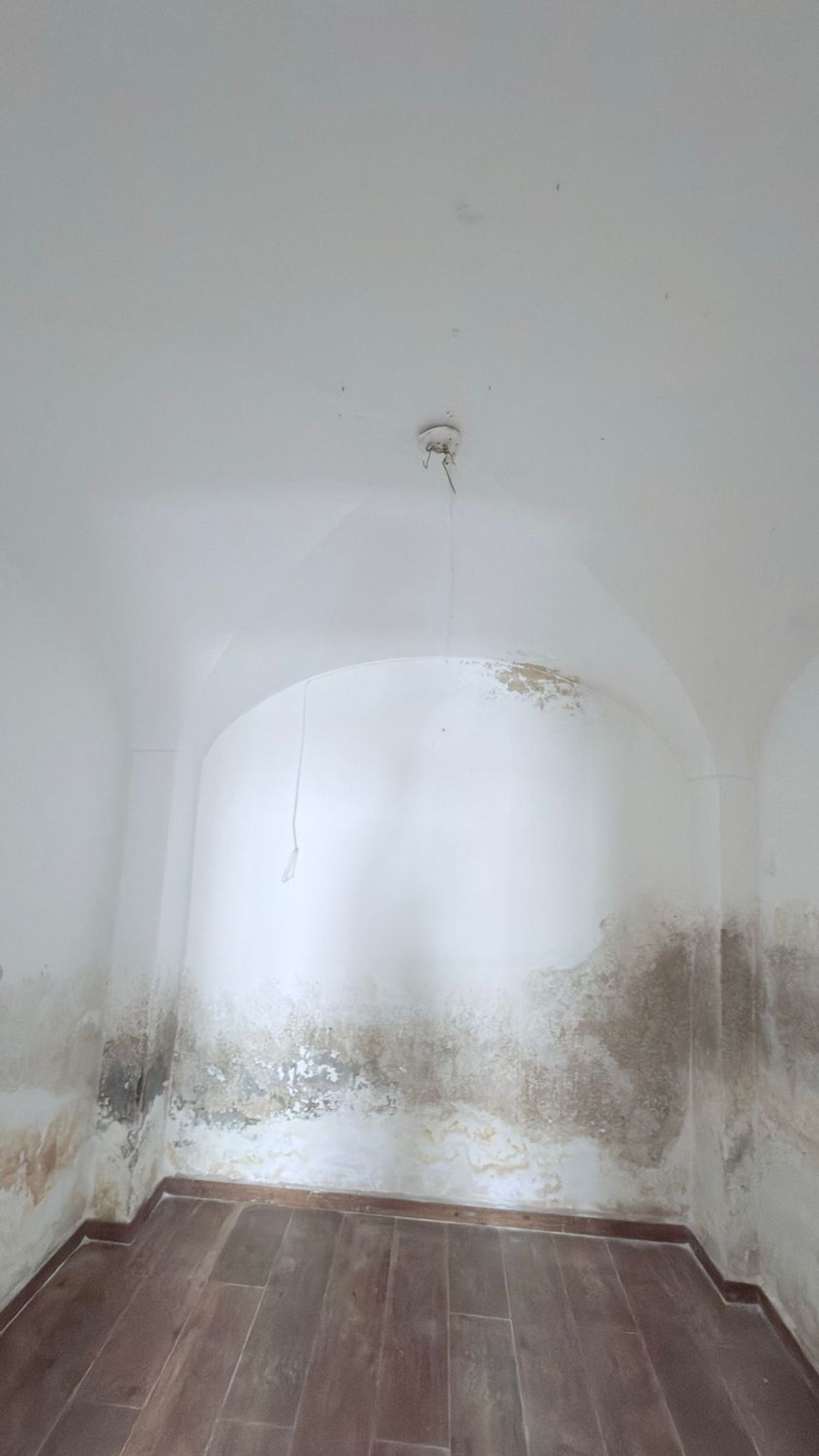 Casas o chalets-Venta-MembrÃ­o-2249602-Foto-19