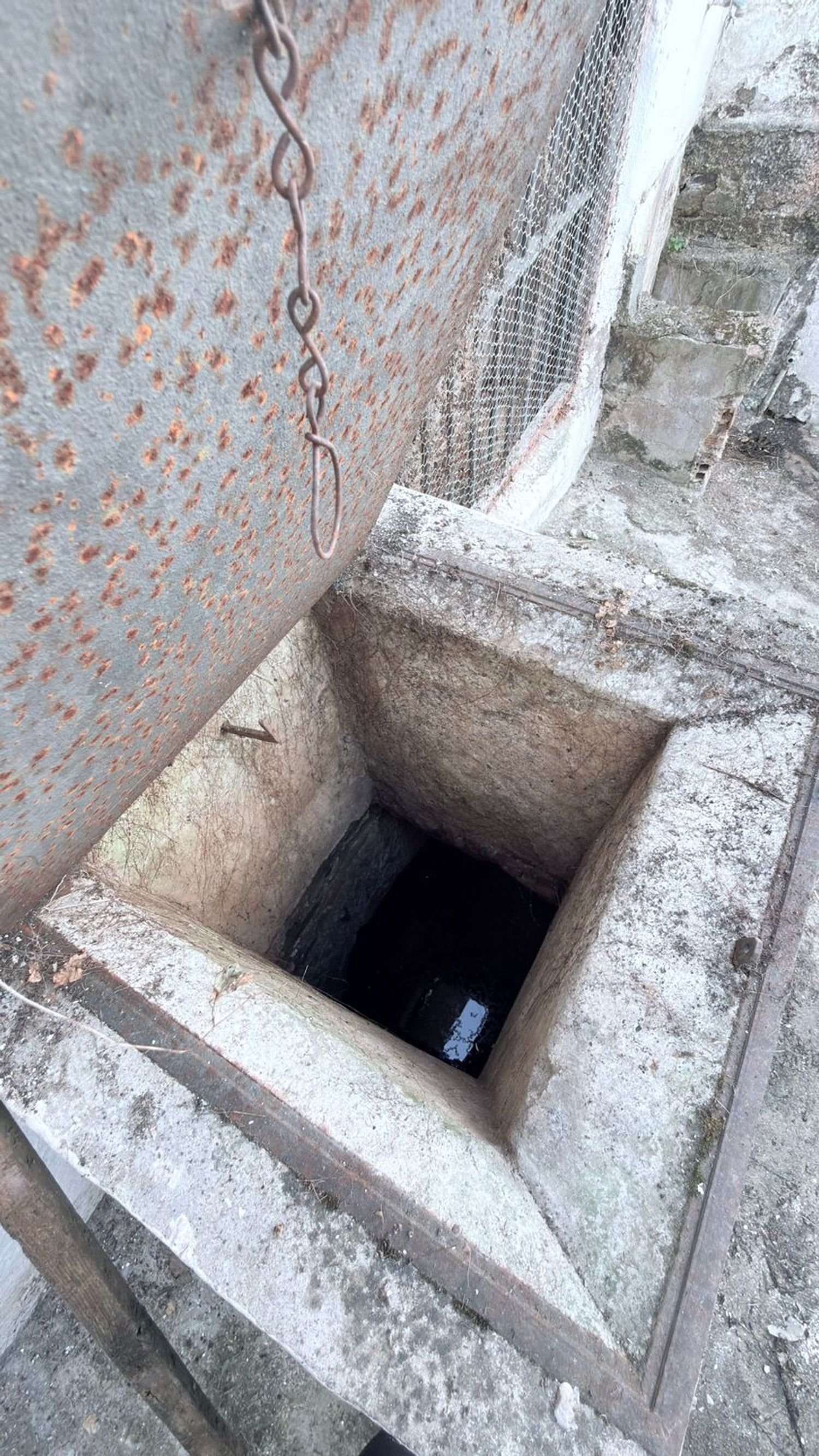 Casas o chalets-Venta-MembrÃ­o-2249602-Foto-31