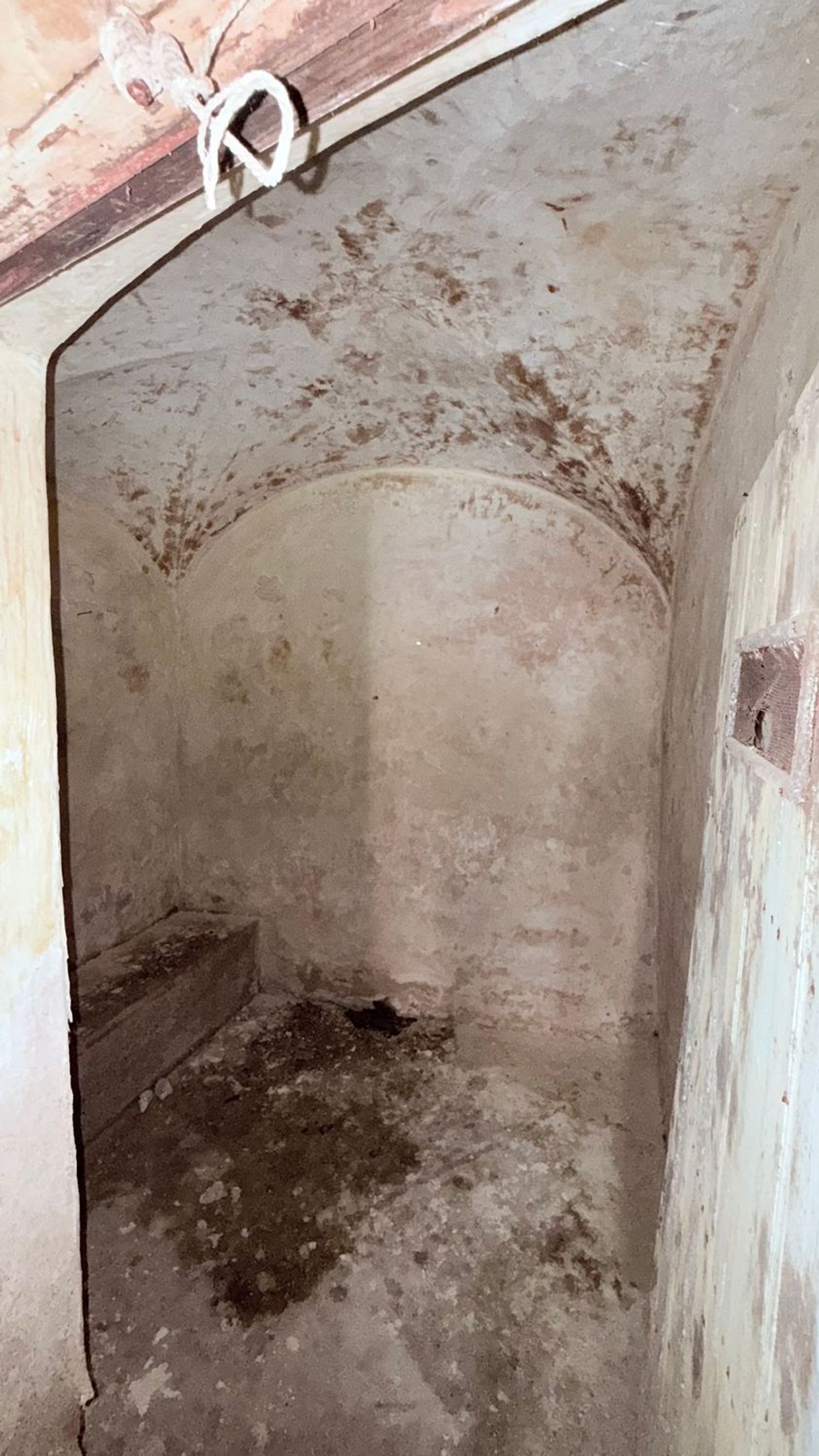 Casas o chalets-Venta-MembrÃ­o-2249602-Foto-34