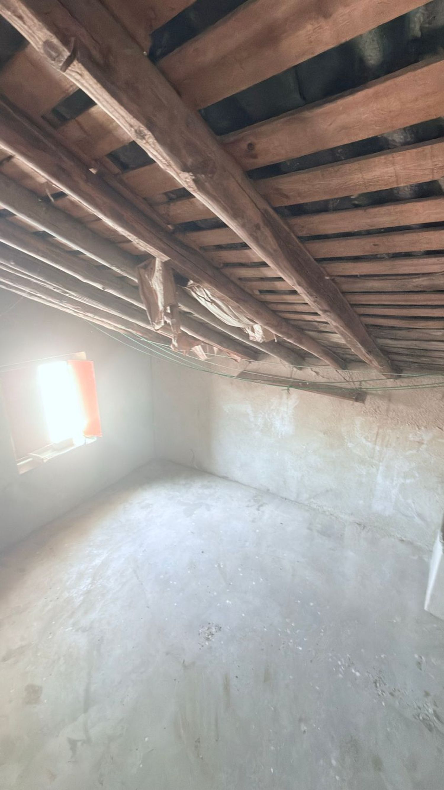 Casas o chalets-Venta-MembrÃ­o-2249602-Foto-51