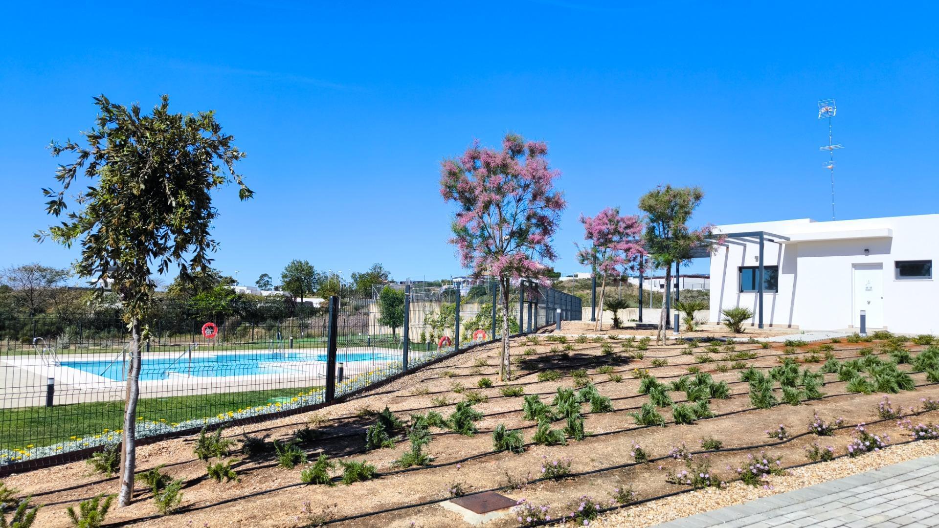 Casas o chalets-Venta-Ayamonte-1654584-Foto-33