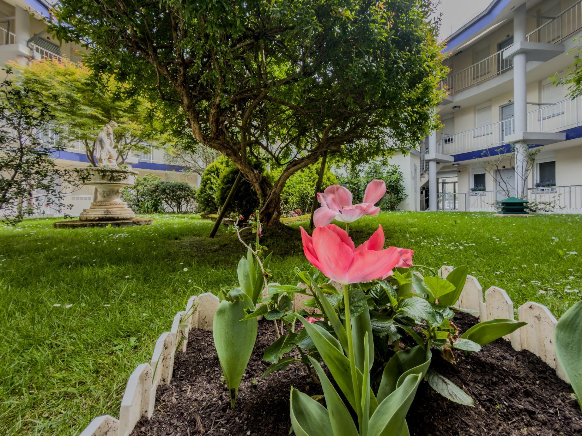 Pisos-Venta-As Somozas-2249608-Foto-37