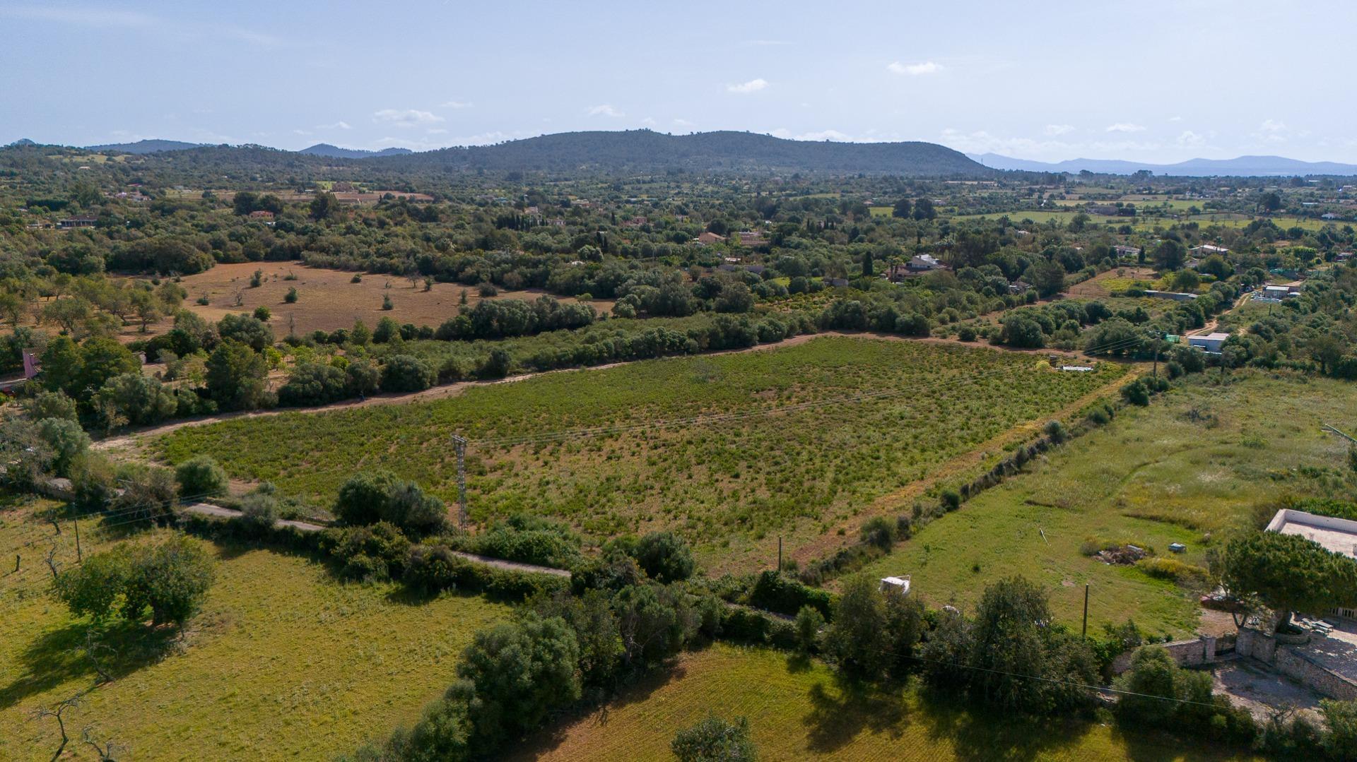 Fincas y solares-Venta-Llucmajor-2238217