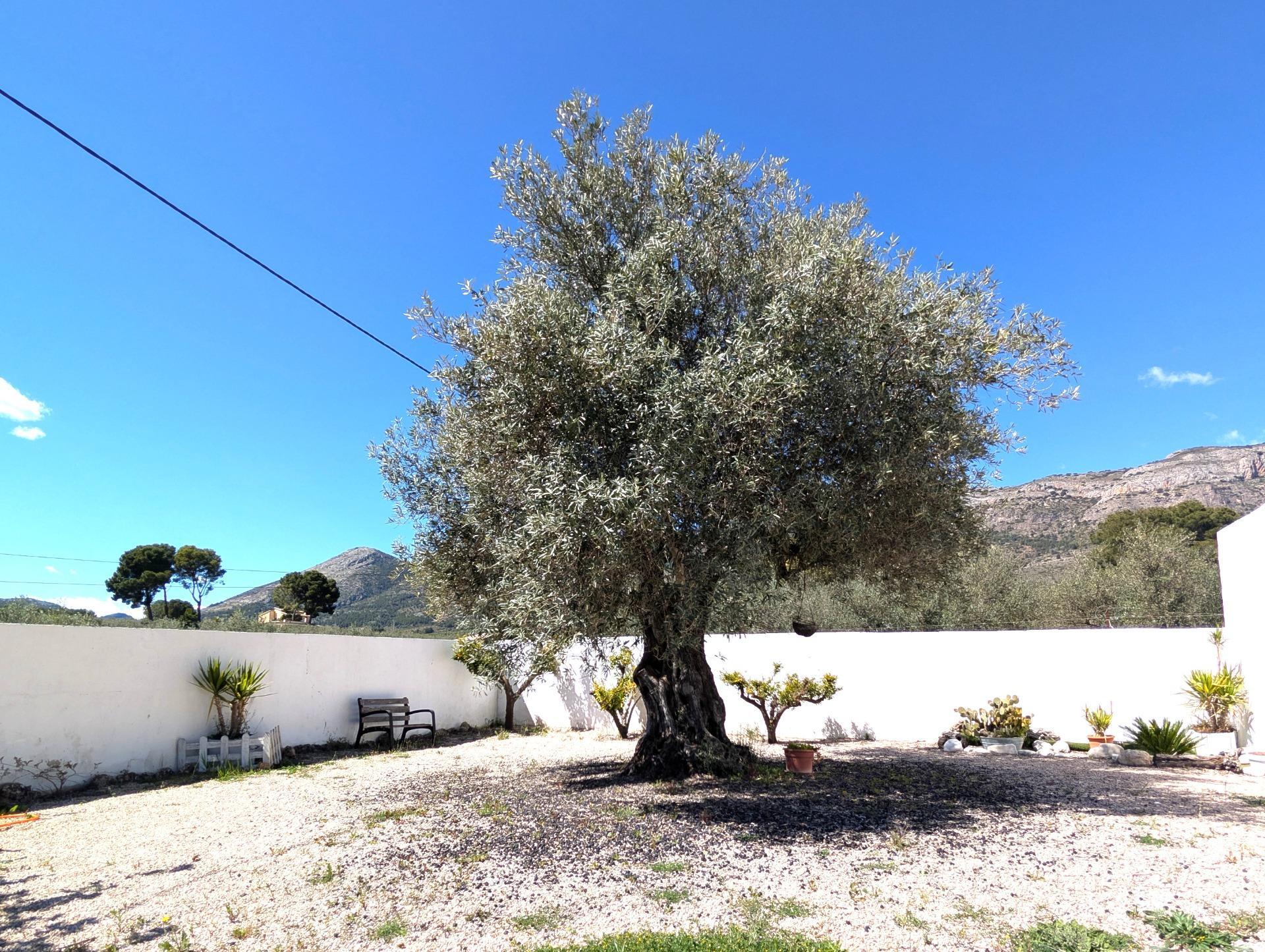 Villa in Gaianes